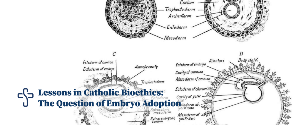 The question of embryo adoption
