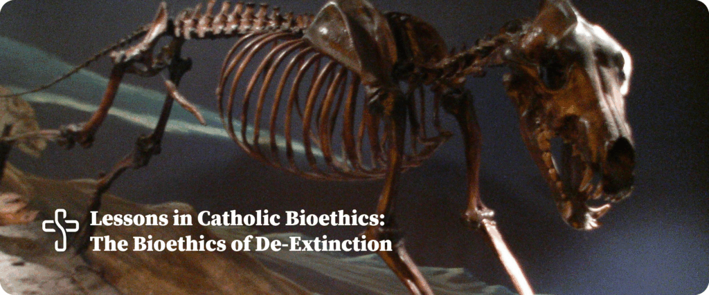 the bioethics of de-extinction