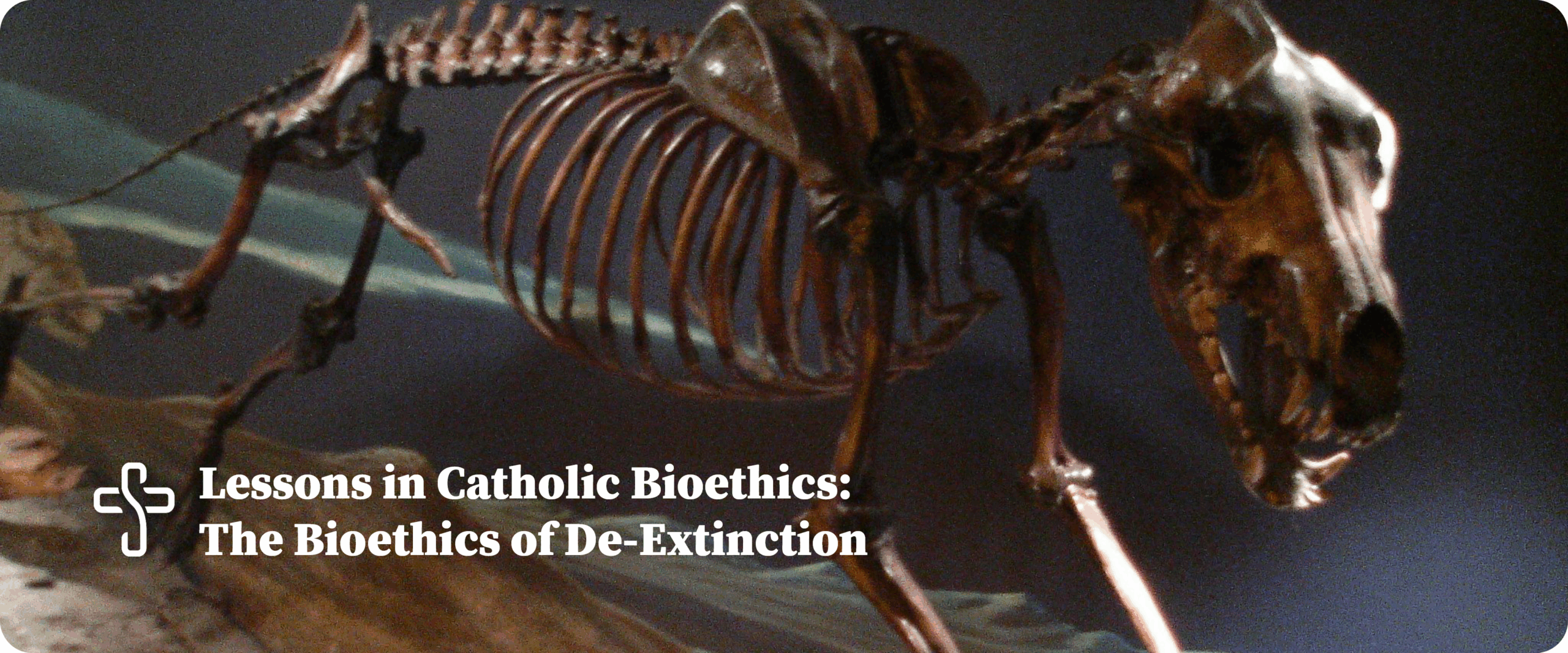 the bioethics of de-extinction